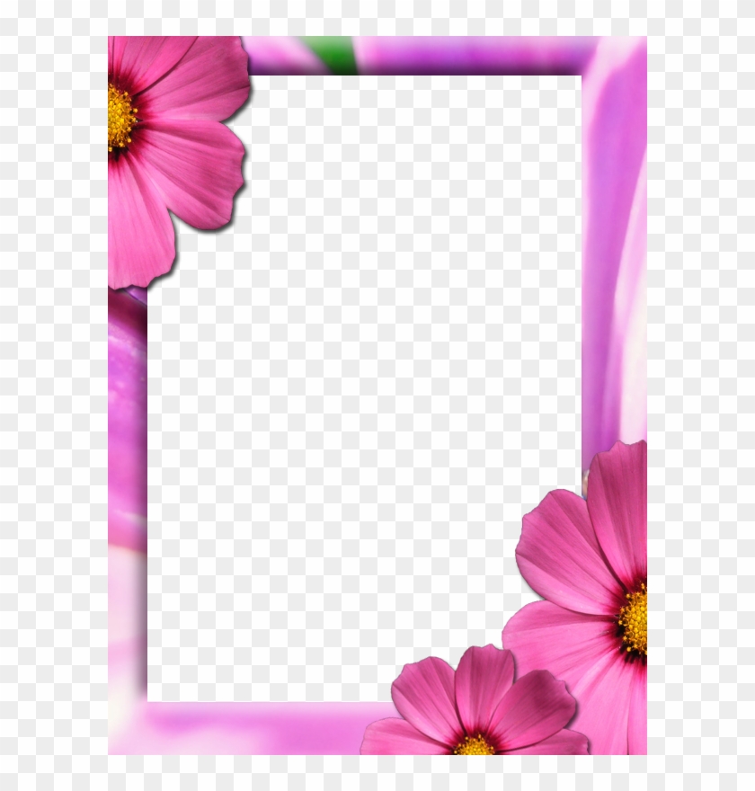 Gambar Bingkai Bunga Format Png - Gambar Bunga