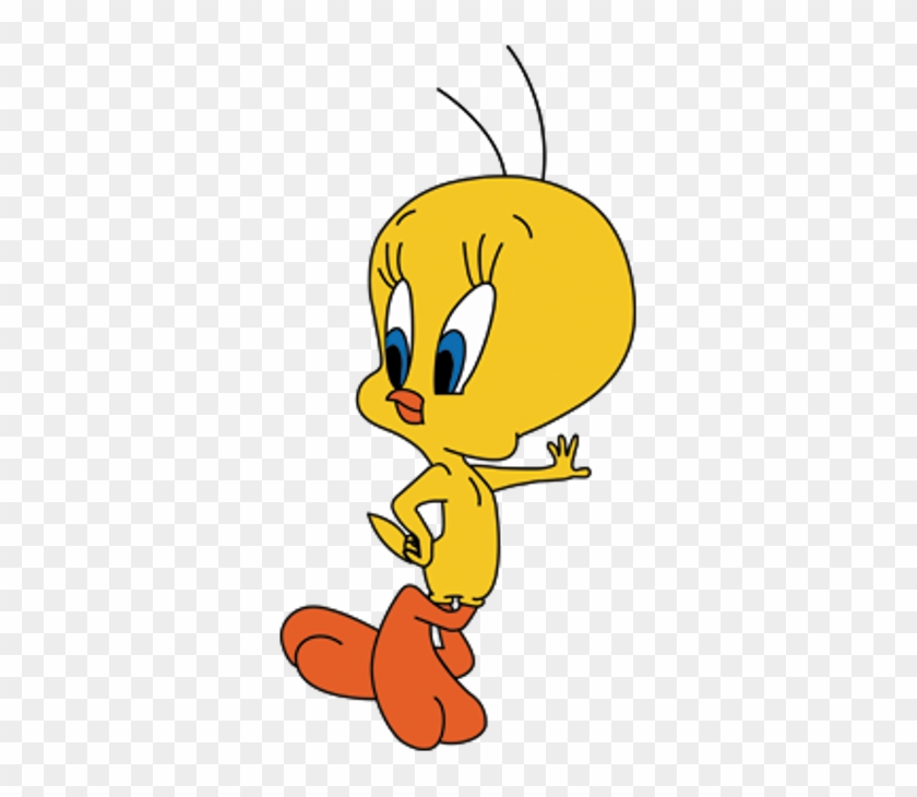 Tweety Bird Photo - All Types Of Cartoon #336103