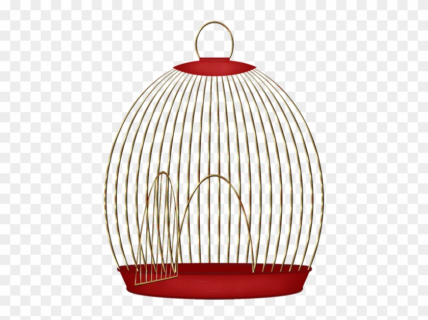 Birdcage Birdcage Drawing Clip Art - Birdcage Birdcage Drawing Clip Art #336145