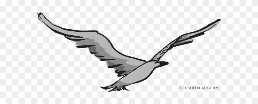 Flying Bird Animal Free Black White Clipart Images - Clip Art #336150
