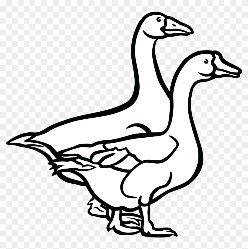 Free Clipart Of A Black And White Pair Of Geese - Goose Black And White #336156