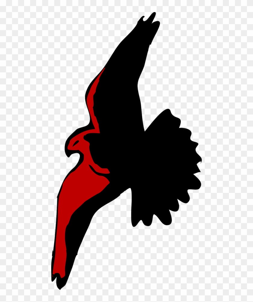Cartoon Hawk Flying #336162