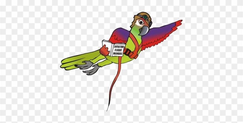 Bird Harness Safety Check List - Bird Harness #336171
