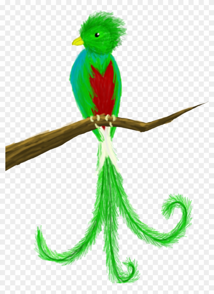 Quetzal By Rkaydee Quetzal By Rkaydee - Quetzal Bird Clip Art #336204