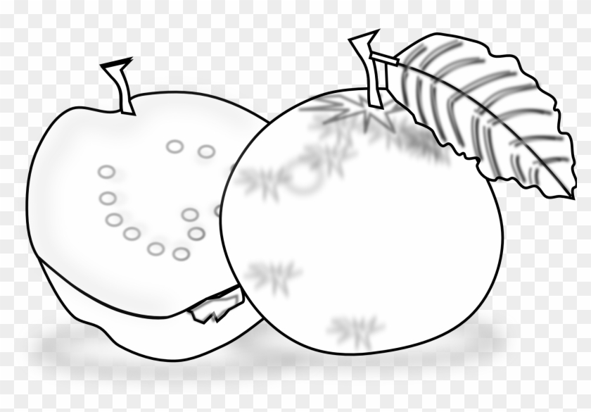 Food Guava Guava Black White Line Art Scalable Vector - Guava Clipart Black And White #336305