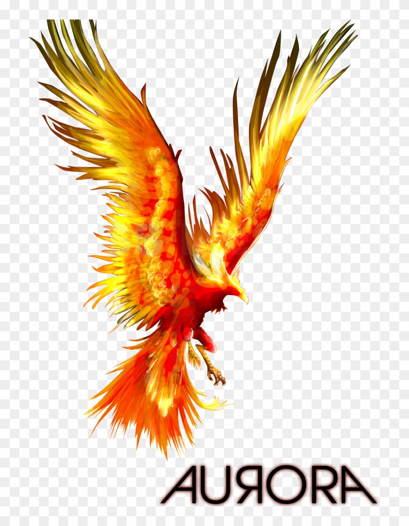 The Phoenix - Phoenix Bird #336307