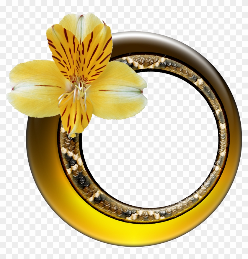 Free Round Picture Frame Png - Free Round Picture Frame Png #336416