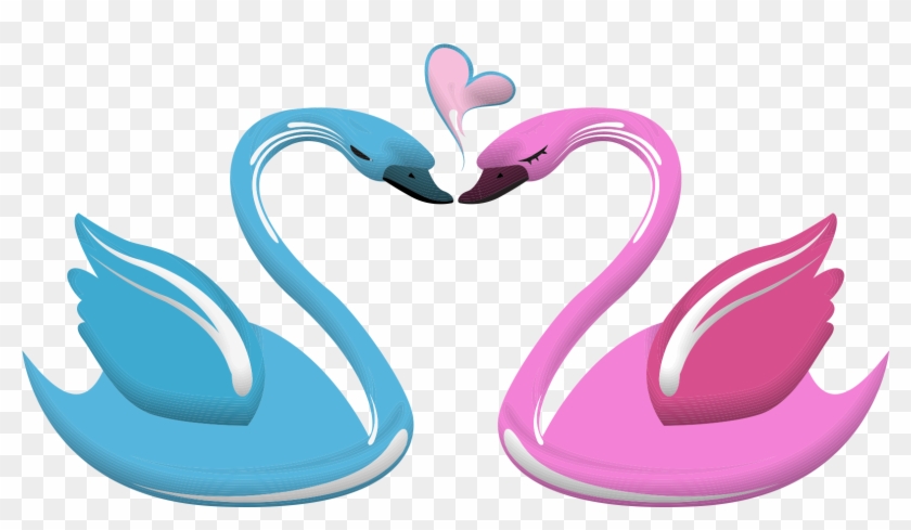 Lovebird Lovebird Black Swan Heart - Cartoon Swan Heart #336442