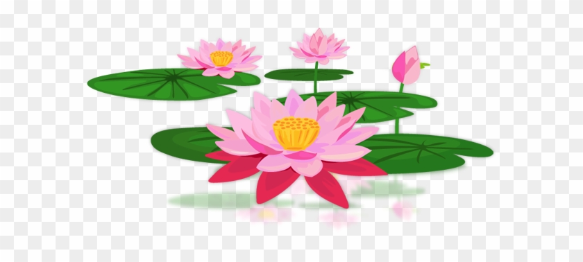 Lotus Png #336578