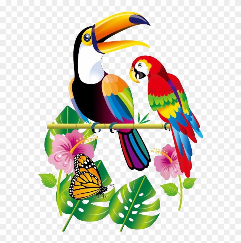 Parrot Bird Toucan - Parrot #336950