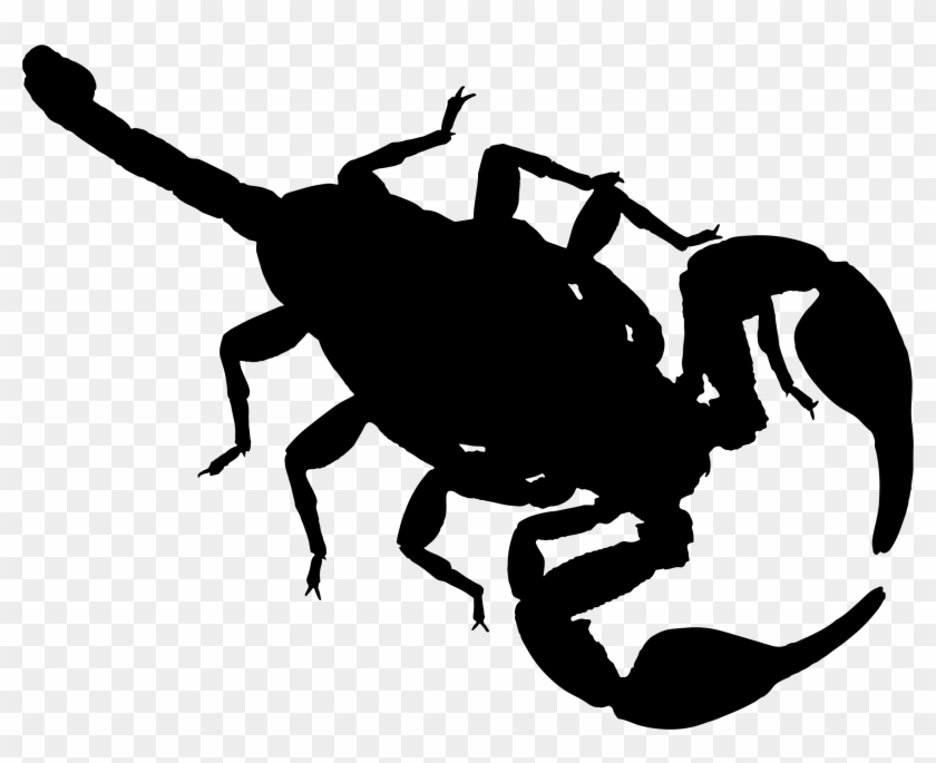 Scorpion Clip Art Library - Scorpion Silhouette Png #337025