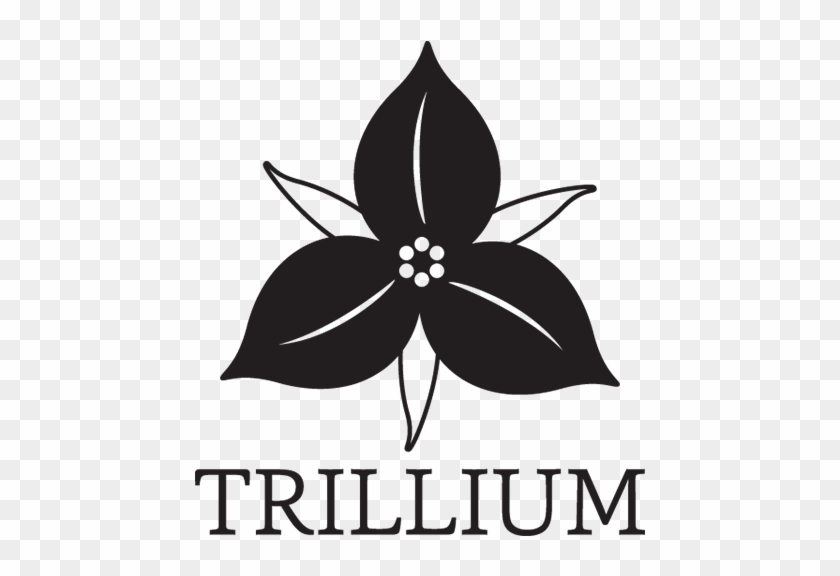 Trillium Flower Clipart - Illustrations Of A Trillium #337044