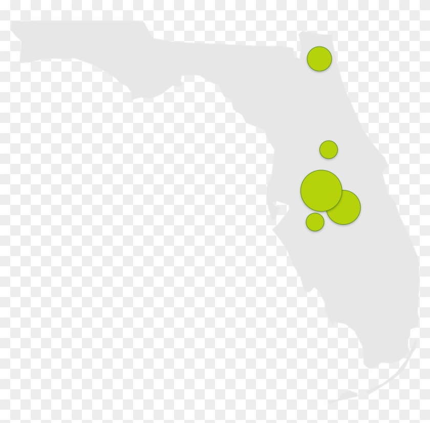 Florida State University State Map #337334