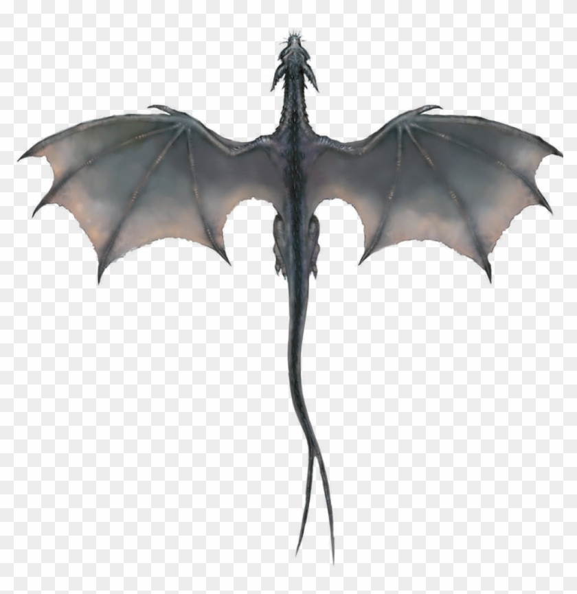 Flying Dragon Transparent Png - Dragon Got Png #338379