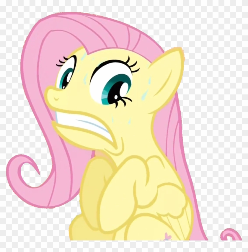 Fluttershy - My Little Pony Fluttershy Front #338424