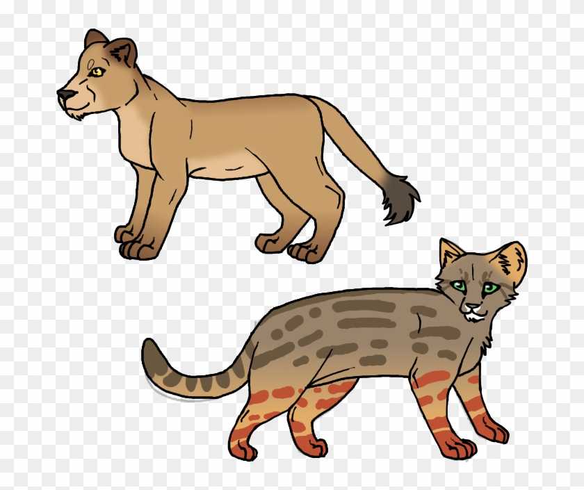 Bearded Collie Cougar Rankins Dragon Cat Clip Art - Bearded Collie Cougar Rankins Dragon Cat Clip Art #338465