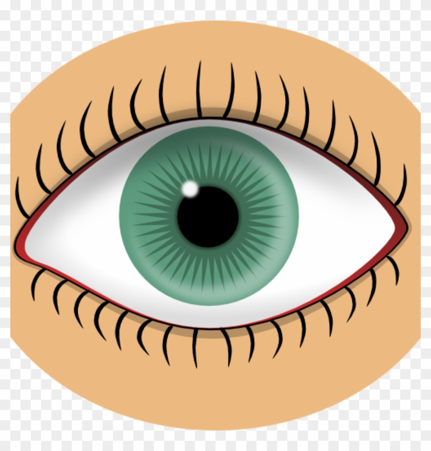 Eye Images Clip Art Blue Eye Clip Art At Clker Vector - Eye Clip Art #339273