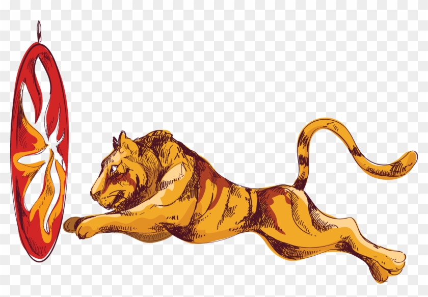 Tiger Lion Circus Illustration - Tiger Lion Circus Illustration #339861