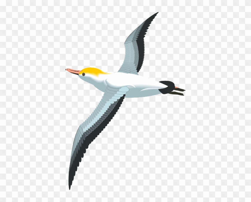 Seagull Clipart Free Clipartfest - Seagull Clipart Png #340995