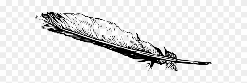 Seagull Clipart Feather - Feather Clip Art Png #340997
