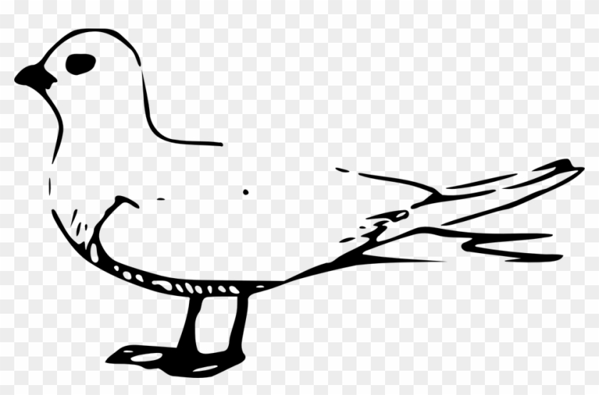 Seagull Cliparts 23, Buy Clip Art - Fairy Tern #341000