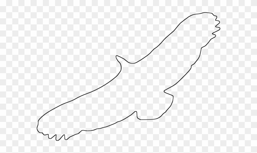 Seagull Outline - Clipart Library - Draw A Vulture Flying #341012