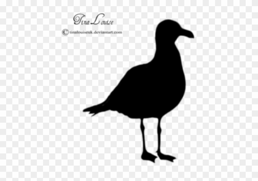 Pin Seagull Silhouette Clip Art - Gulls #341016