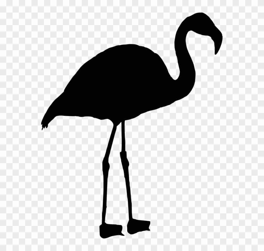 Seagull Stencil 15, Buy Clip Art - Silhueta Flamingo Png #341025