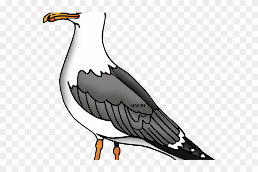 Seagull Cliparts - Gulls #341030