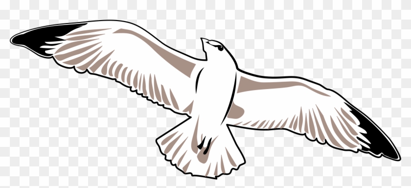 Big Image - Vector Graphics #341054