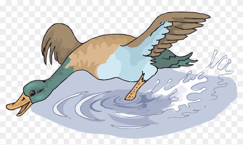 Flying Bird Cartoon 29, Buy Clip Art - Duck In The Water Png #341069