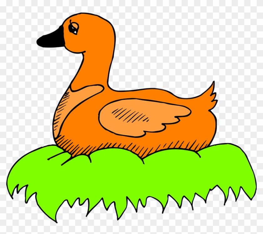 Nest Green, Orange, Bird, Duck, Color, Art, Sitting, - Duck On A Nest  Cartoon - Free Transparent PNG Clipart Images Download