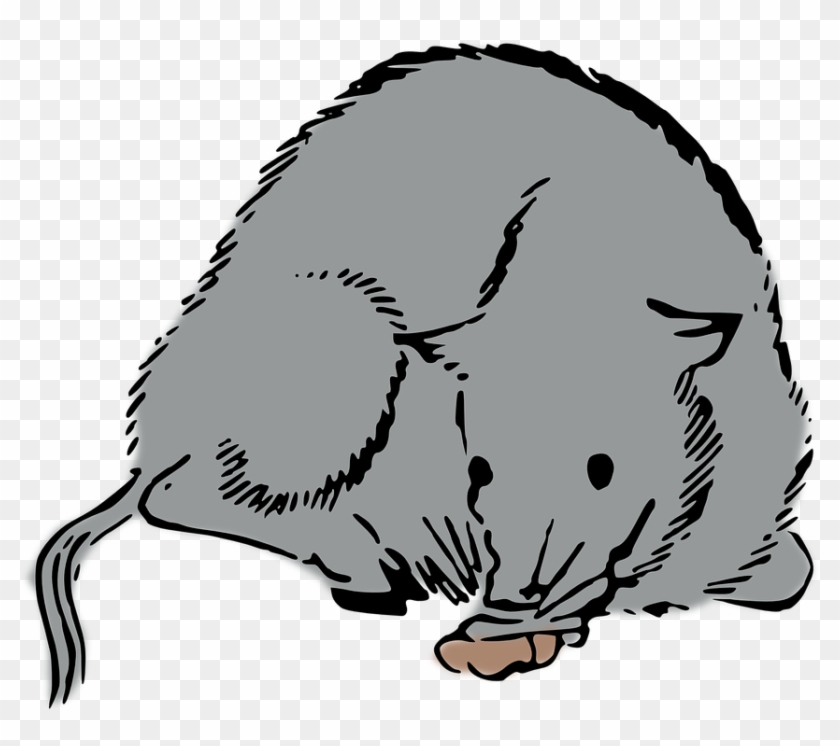 Woodcut Rat, Mouse, Woodcut - Rat #341126