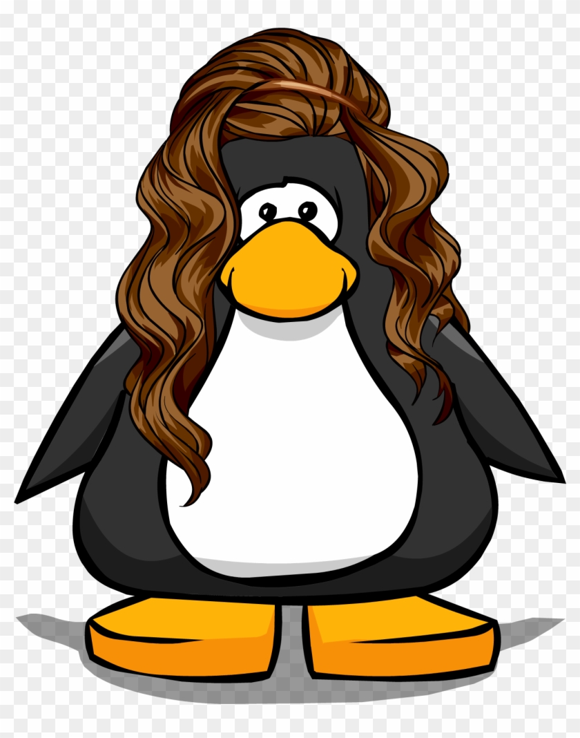 19, August 23, 2014 - Brown Hair In Club Penguin #341213