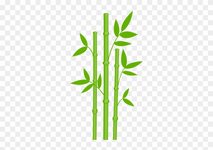 Jungle - Bamboo Clip Art #341316