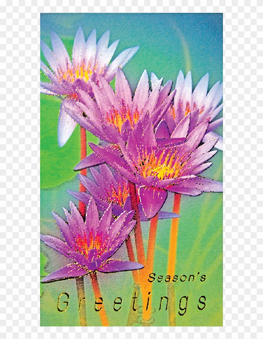 Newyear Card 8×4 Inch P - New Year Card #341363