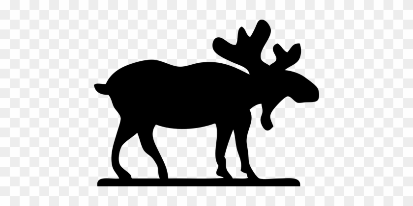 Moose Animal Mammal Silhouette Antlers Wil - Moose Clip Art #341388