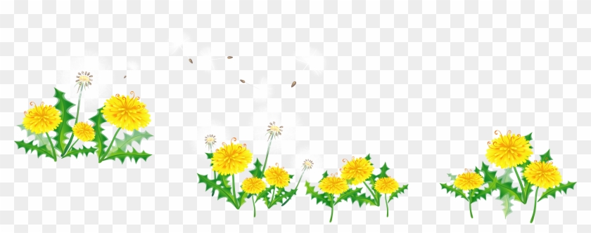 Common Dandelion Flower Pissenlit Floral Design - Common Dandelion Flower Pissenlit Floral Design #341570