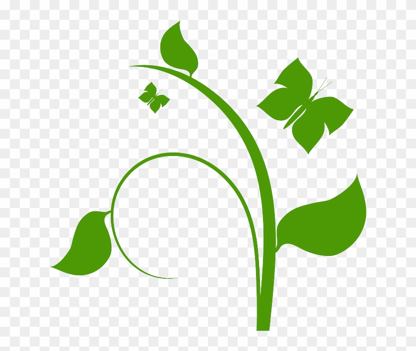 Folhas - Pesquisa Google - Flower Vine Clip Art #341459
