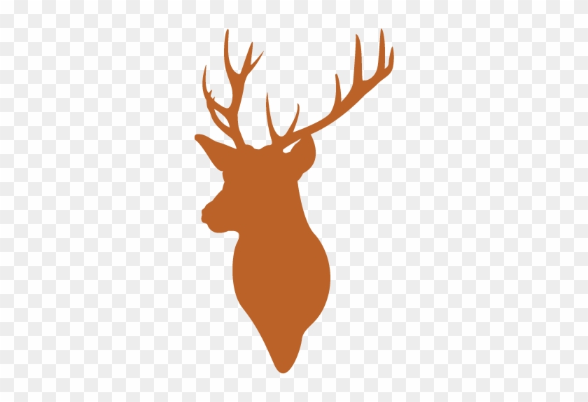 Image Description - Grey Deer Logo #341466