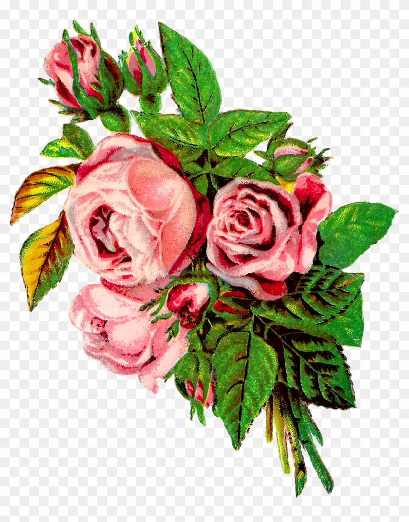 Rose Flower Botanical Artwork Image Transfer Clipart - Clip Art #341538