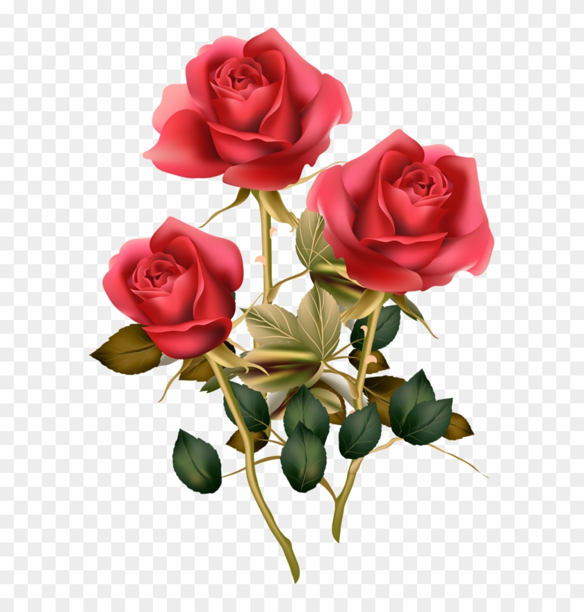 Grunge Romantic Background With Roses - Flowers Me Ganesha Good Morning #341539
