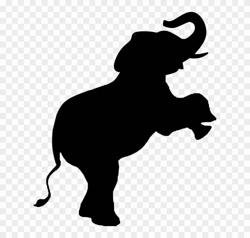 Elephant, Animal, Mammal, Wild, Wildlife, Nature, Zoo - Endangered Species #341567