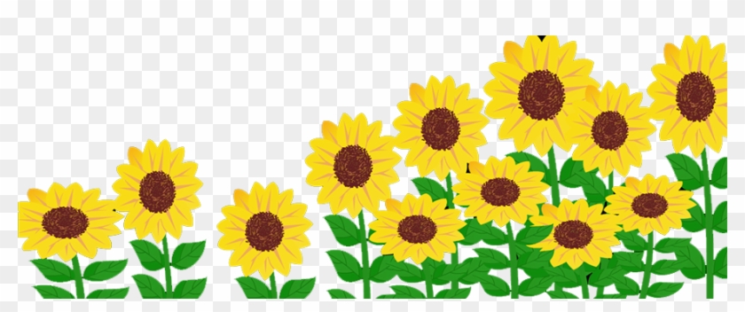 Common Sunflower Solar Energy Generating Systems Solar - Common Sunflower Solar Energy Generating Systems Solar #341592