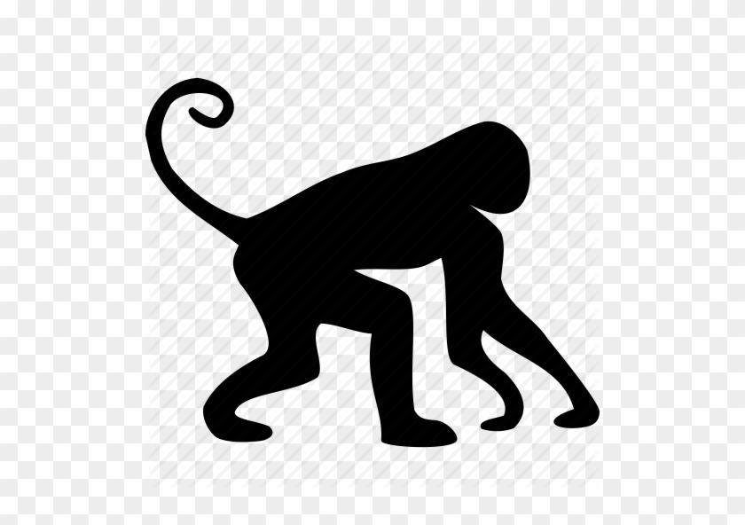 African, Animal, Animals, Marmoset, Monkey, Small Man, - Animal Icon #341784