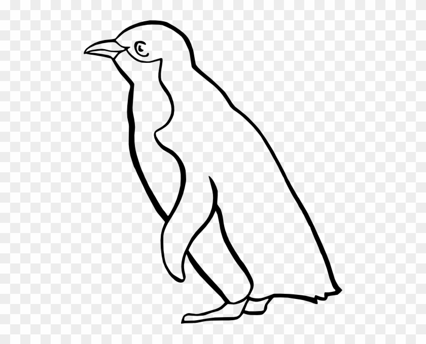 Colorful Animal Penguin Black - Penguin Black And White #341842