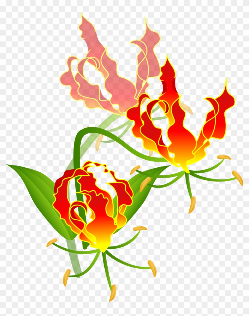 Floral Design Fire Lilies Cut Flowers Tulip - Floral Design Fire Lilies Cut Flowers Tulip #341855