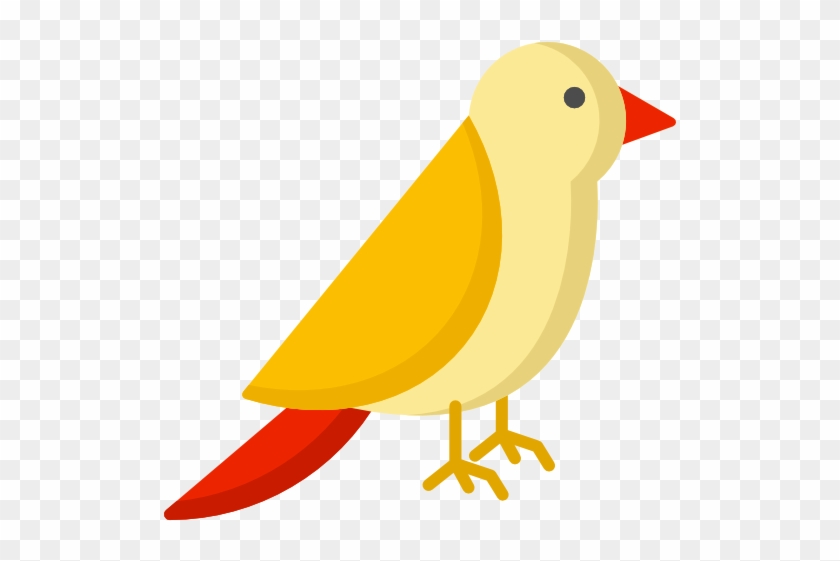 Bird Free Icon - Bird #341908