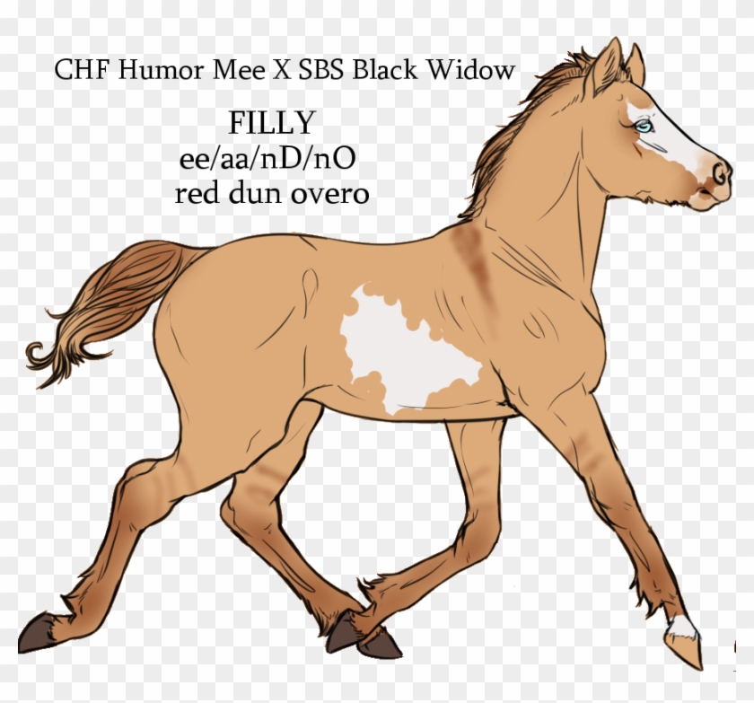 Chf Humor Mee X Sbs Black Widow By Cherryhillfarms - Sorrel #341932