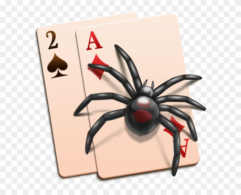 Spider #341948